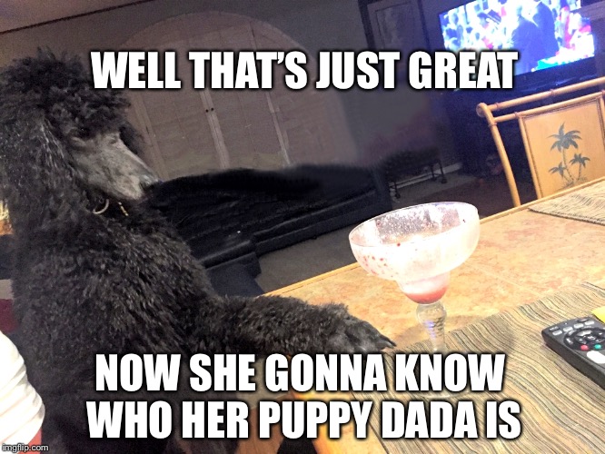 Noah Gump at Bar | WELL THAT’S JUST GREAT; NOW SHE GONNA KNOW WHO HER PUPPY DADA IS | image tagged in noah gump at bar | made w/ Imgflip meme maker