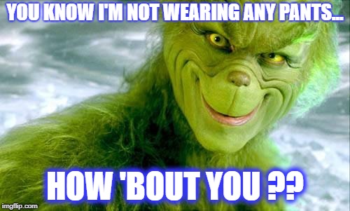 PERVY GRINCH | YOU KNOW I'M NOT WEARING ANY PANTS... HOW 'BOUT YOU ?? | image tagged in the grinch jim carrey,the grinch,pervert,funny | made w/ Imgflip meme maker