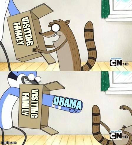 Mordecai Punches Rigby Through a Box | VISITING FAMILY; VISITING FAMILY; DRAMA | image tagged in mordecai punches rigby through a box | made w/ Imgflip meme maker