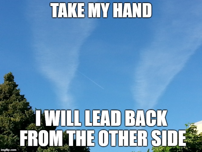 hope | TAKE MY HAND; I WILL LEAD BACK FROM THE OTHER SIDE | image tagged in hope | made w/ Imgflip meme maker