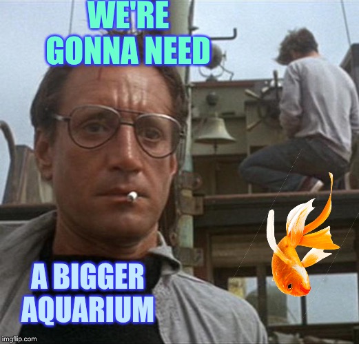 jaws | WE'RE GONNA NEED A BIGGER AQUARIUM | image tagged in jaws | made w/ Imgflip meme maker