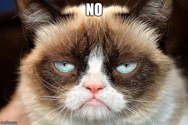 Grumpy Cat Not Amused Meme | NO | image tagged in memes,grumpy cat not amused,grumpy cat | made w/ Imgflip meme maker