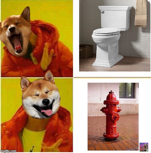 Where should dogs pee | image tagged in drake hotline approves,doge,dogs,funny,memes | made w/ Imgflip meme maker