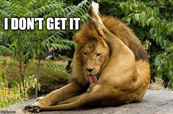 lion licking balls | I DON'T GET IT | image tagged in lion licking balls | made w/ Imgflip meme maker