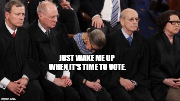 RBG passed out | JUST WAKE ME UP WHEN IT'S TIME TO VOTE. | image tagged in rbg passed out | made w/ Imgflip meme maker