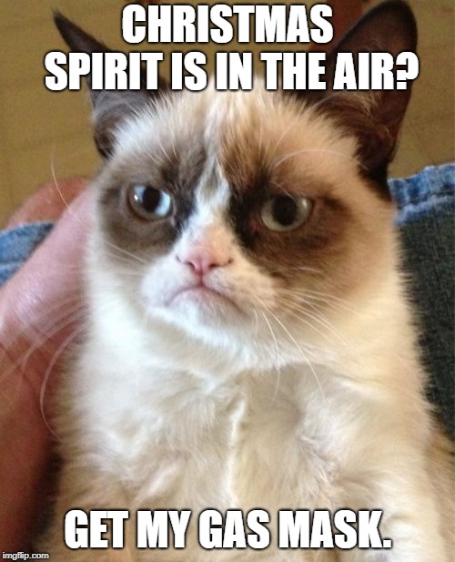 Grumpy cat is getting more grumpy (prolly cuz the holidays are near) | CHRISTMAS SPIRIT IS IN THE AIR? GET MY GAS MASK. | image tagged in memes,grumpy cat | made w/ Imgflip meme maker