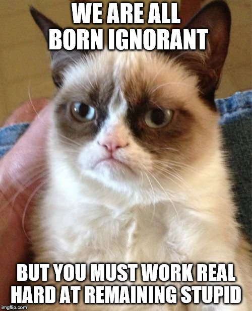 Grumpy Cat | WE ARE ALL BORN IGNORANT; BUT YOU MUST WORK REAL HARD AT REMAINING STUPID | image tagged in memes,grumpy cat | made w/ Imgflip meme maker