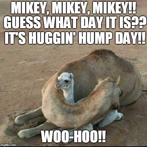 MIKEY, MIKEY, MIKEY!! GUESS WHAT DAY IT IS?? IT'S HUGGIN' HUMP DAY!! WOO-HOO!! | image tagged in huggin'_hump_day | made w/ Imgflip meme maker