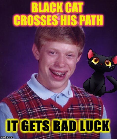 Bad Luck Brian Meme | BLACK CAT CROSSES HIS PATH; IT GETS BAD LUCK | image tagged in memes,bad luck brian,black cat | made w/ Imgflip meme maker