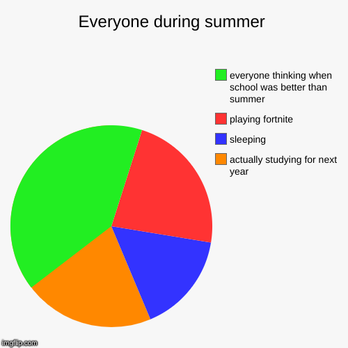 Everyone during summer | actually studying for next year, sleeping, playing fortnite, everyone thinking when school was better than summer | image tagged in funny,pie charts | made w/ Imgflip chart maker