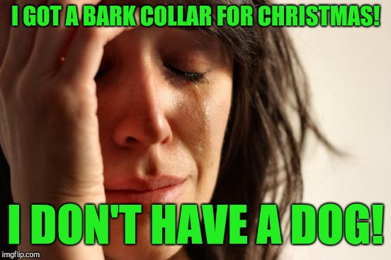 First World Problems | I GOT A BARK COLLAR FOR CHRISTMAS! I DON'T HAVE A DOG! | image tagged in memes,first world problems | made w/ Imgflip meme maker
