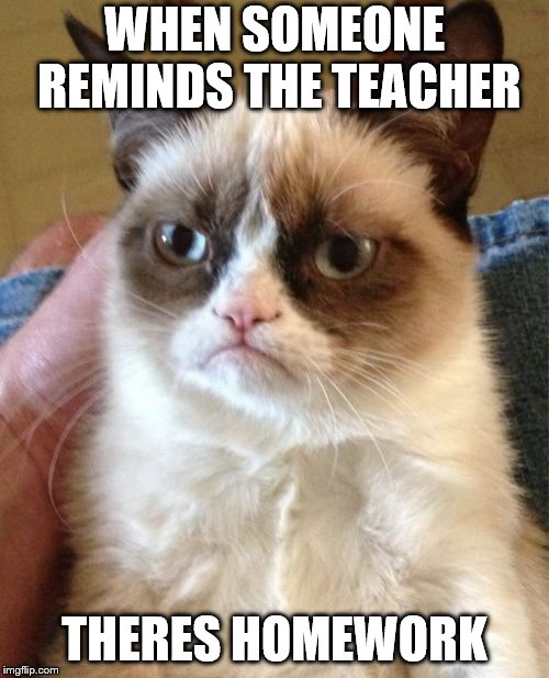 Grumpy Cat | WHEN SOMEONE REMINDS THE TEACHER; THERES HOMEWORK | image tagged in memes,grumpy cat | made w/ Imgflip meme maker