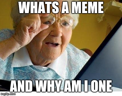 old lady at computer | WHATS A MEME; AND WHY AM I ONE | image tagged in old lady at computer | made w/ Imgflip meme maker