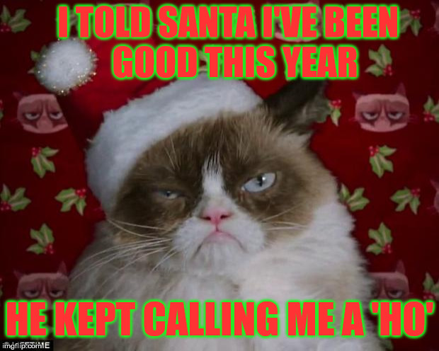 Grumpy Cat Christmas | I TOLD SANTA I'VE BEEN          GOOD THIS YEAR; HE KEPT CALLING ME A 'HO' | image tagged in grumpy cat christmas,memes,merry christmas,ho ho ho | made w/ Imgflip meme maker