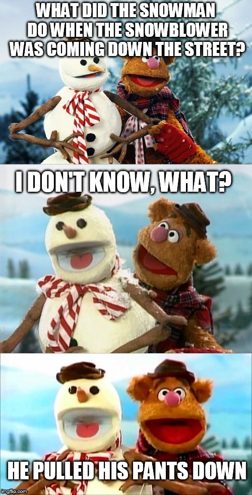 Christmas Puns With Fozzie Bear  | WHAT DID THE SNOWMAN DO WHEN THE SNOWBLOWER WAS COMING DOWN THE STREET? I DON'T KNOW, WHAT? HE PULLED HIS PANTS DOWN | image tagged in christmas puns with fozzie bear | made w/ Imgflip meme maker