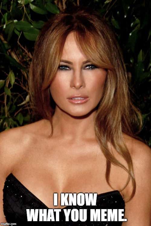 melania trump | I KNOW WHAT YOU MEME. | image tagged in melania trump | made w/ Imgflip meme maker