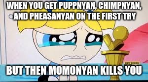 Sad Bubbles | WHEN YOU GET PUPPNYAN, CHIMPNYAN, AND PHEASANYAN ON THE FIRST TRY; BUT THEN MOMONYAN KILLS YOU | image tagged in sad bubbles | made w/ Imgflip meme maker