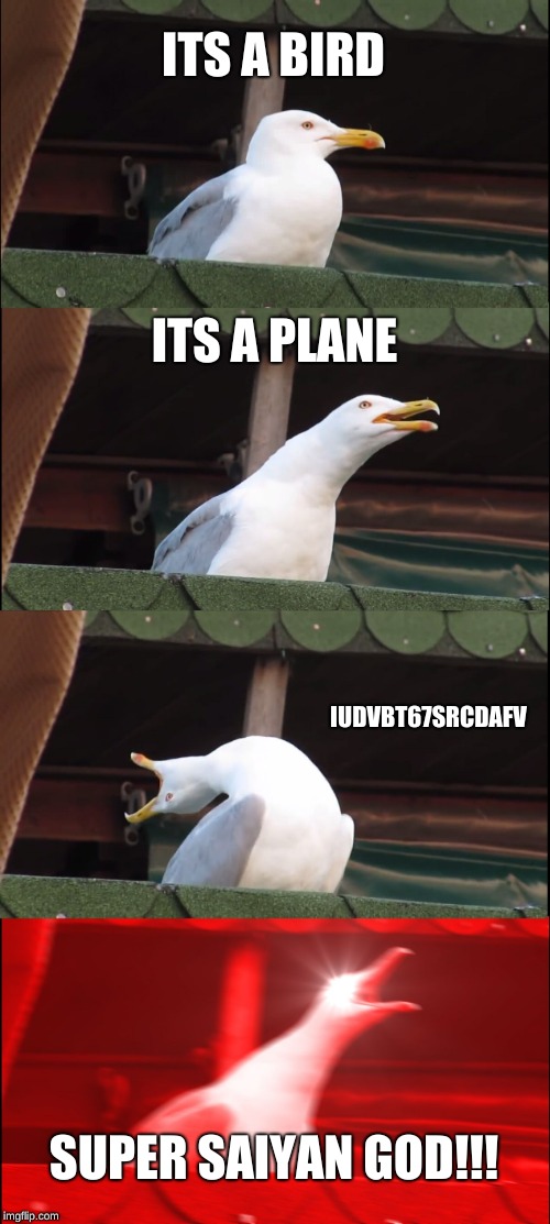 Inhaling Seagull | ITS A BIRD; ITS A PLANE; IUDVBT67SRCDAFV; SUPER SAIYAN GOD!!! | image tagged in memes,inhaling seagull | made w/ Imgflip meme maker