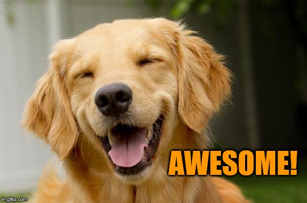 Happy Dog | AWESOME! | image tagged in happy dog | made w/ Imgflip meme maker