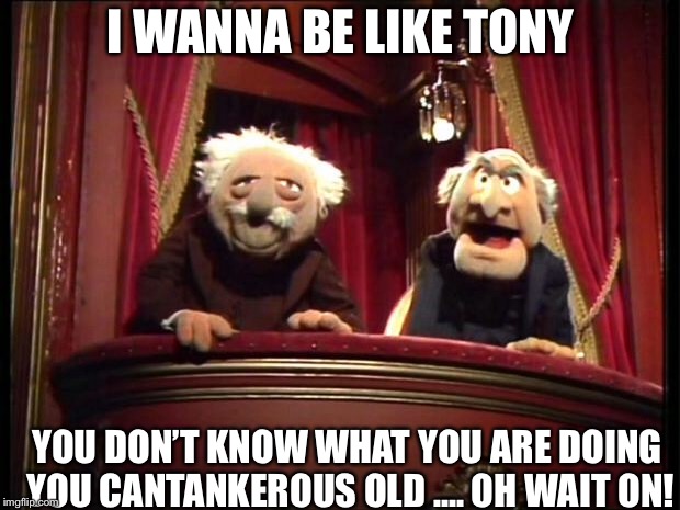 Statler and Waldorf | I WANNA BE LIKE TONY; YOU DON’T KNOW WHAT YOU ARE DOING YOU CANTANKEROUS OLD .... OH WAIT ON! | image tagged in statler and waldorf | made w/ Imgflip meme maker