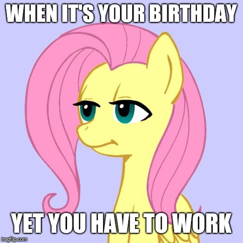 I don't really care! | WHEN IT'S YOUR BIRTHDAY; YET YOU HAVE TO WORK | image tagged in tired of your crap,memes,i don't care,birthday,work,xanderbrony | made w/ Imgflip meme maker