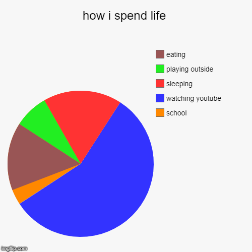 how i spend life | school, watching youtube, sleeping, playing outside, eating | image tagged in funny,pie charts | made w/ Imgflip chart maker