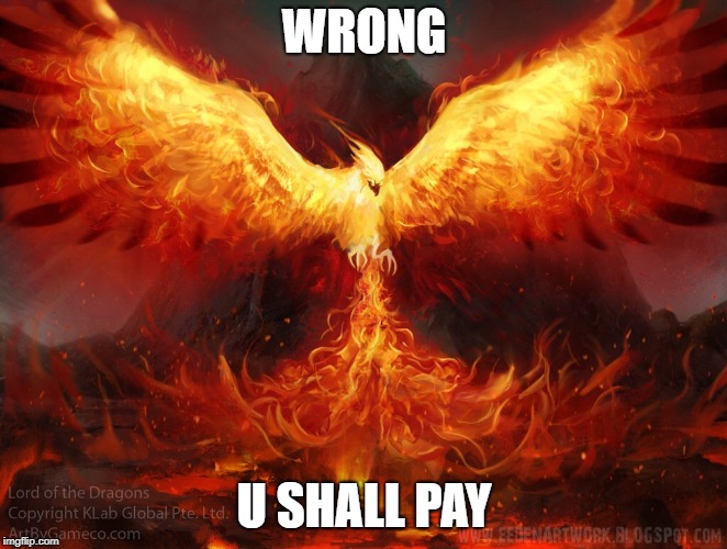 Ft Mac Phoenix | WRONG; U SHALL PAY | image tagged in ft mac phoenix | made w/ Imgflip meme maker