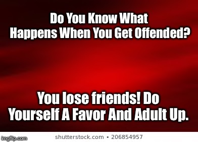 Grow Up Will Ya | Do You Know What Happens When You Get Offended? You lose friends!
Do Yourself A Favor And Adult Up. | image tagged in snowflakes,offended,furries,adulting | made w/ Imgflip meme maker
