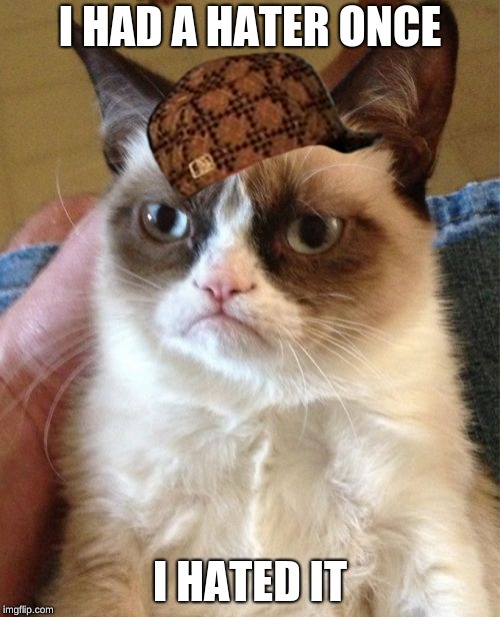 Grumpy Cat Meme | I HAD A HATER ONCE; I HATED IT | image tagged in memes,grumpy cat,scumbag | made w/ Imgflip meme maker