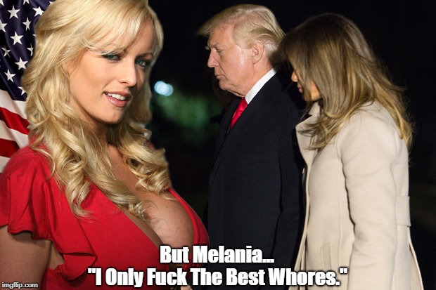 But Melania... "I Only F**k The Best W**res." | made w/ Imgflip meme maker