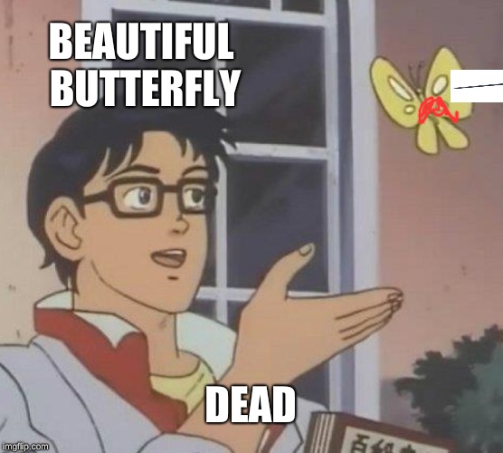 Is This A Pigeon Meme | BEAUTIFUL BUTTERFLY; DEAD | image tagged in memes,is this a pigeon | made w/ Imgflip meme maker