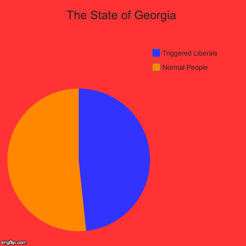 The State of Georgia | Normal People, Triggered Liberals | image tagged in funny,pie charts | made w/ Imgflip chart maker