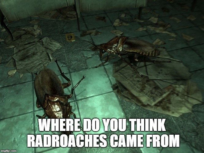 WHERE DO YOU THINK RADROACHES CAME FROM | made w/ Imgflip meme maker
