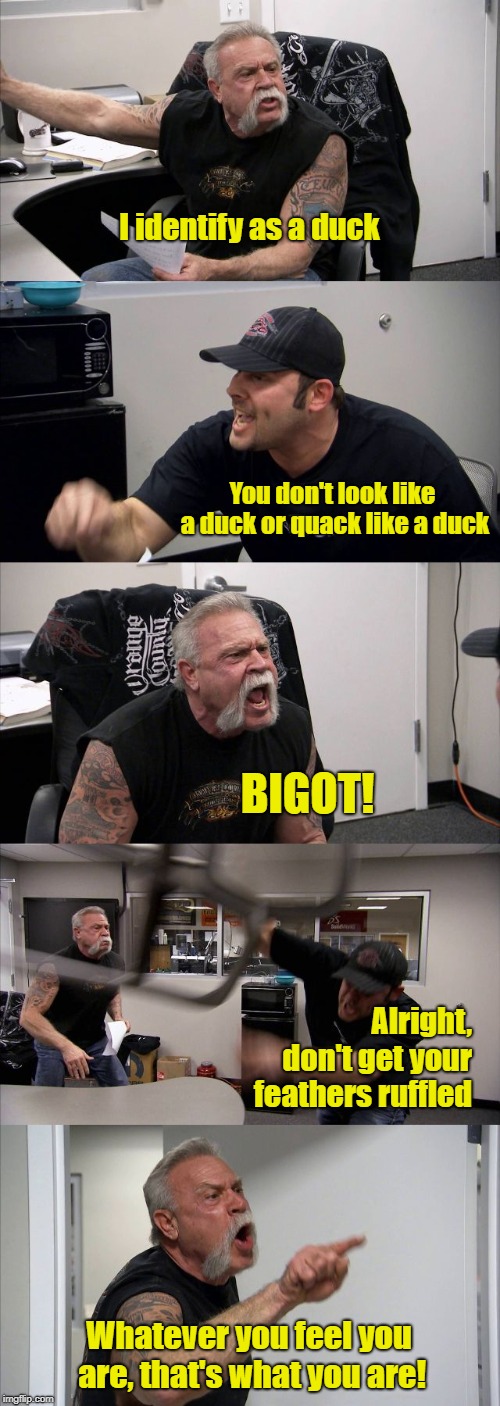 This Used To Be Called Delusional Disorder | I identify as a duck; You don't look like a duck or quack like a duck; BIGOT! Alright, don't get your feathers ruffled; Whatever you feel you are, that's what you are! | image tagged in memes,american chopper argument,delusions of duckness,political correctness | made w/ Imgflip meme maker