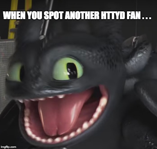 WHEN YOU SPOT ANOTHER HTTYD FAN . . . | image tagged in how to train your dragon,toothless | made w/ Imgflip meme maker