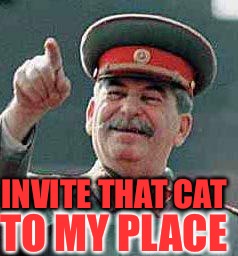 Stalin says | INVITE THAT CAT TO MY PLACE | image tagged in stalin says | made w/ Imgflip meme maker