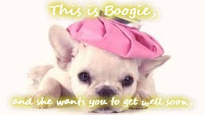 For my sick babe | This is Boogie, and she wants you to get well soon. | image tagged in puppy,dog,sick,get well soon | made w/ Imgflip meme maker