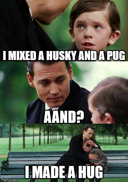 Finding Neverland | I MIXED A HUSKY AND A PUG; AAND? I MADE A HUG | image tagged in memes,finding neverland | made w/ Imgflip meme maker