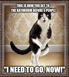 cat pee pee dance | THIS IS HOW YOU GET TO THE BATHROOM BEFORE 5 PEOPLE; "I NEED TO GO, NOW!" | image tagged in cat pee pee dance | made w/ Imgflip meme maker
