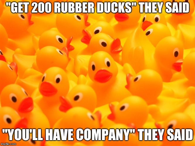 RUbber DUcks | "GET 200 RUBBER DUCKS" THEY SAID; "YOU'LL HAVE COMPANY" THEY SAID | image tagged in rubber ducks | made w/ Imgflip meme maker