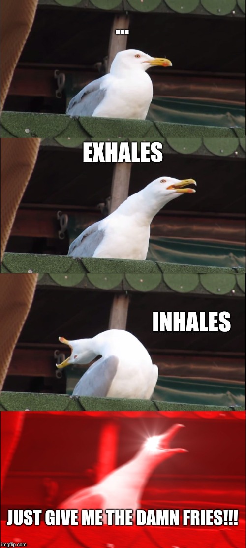 Inhaling Seagull Meme | ... EXHALES; INHALES; JUST GIVE ME THE DAMN FRIES!!! | image tagged in memes,inhaling seagull | made w/ Imgflip meme maker