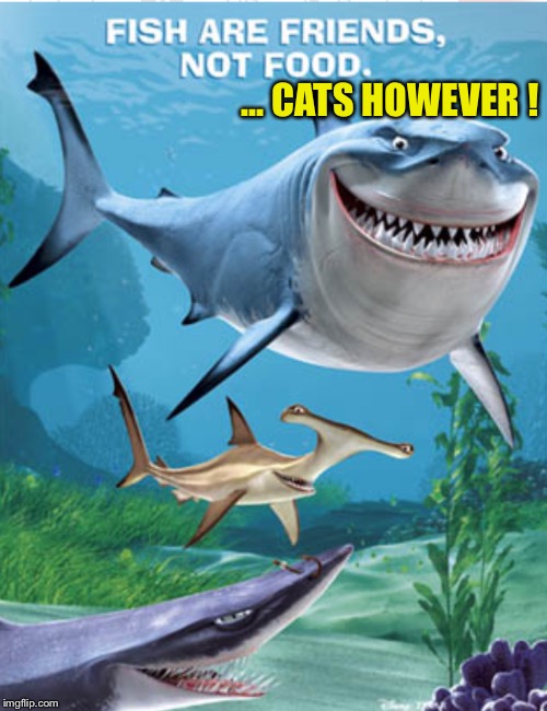 ... CATS HOWEVER ! | made w/ Imgflip meme maker