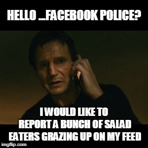 Liam Neeson Taken Meme | HELLO ...FACEBOOK POLICE? I WOULD LIKE TO REPORT A BUNCH OF SALAD EATERS GRAZING UP ON MY FEED | image tagged in memes,liam neeson taken | made w/ Imgflip meme maker