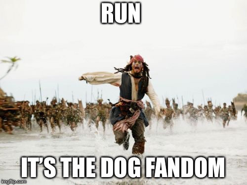 Jack Sparrow Being Chased | RUN; IT’S THE DOG FANDOM | image tagged in memes,jack sparrow being chased | made w/ Imgflip meme maker