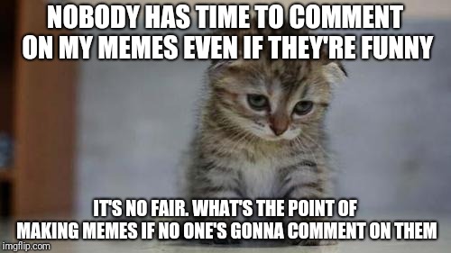 Sad kitten | NOBODY HAS TIME TO COMMENT ON MY MEMES EVEN IF THEY'RE FUNNY; IT'S NO FAIR. WHAT'S THE POINT OF MAKING MEMES IF NO ONE'S GONNA COMMENT ON THEM | image tagged in sad kitten | made w/ Imgflip meme maker