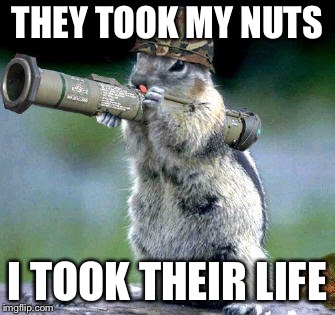 Bazooka Squirrel |  THEY TOOK MY NUTS; I TOOK THEIR LIFE | image tagged in memes,bazooka squirrel | made w/ Imgflip meme maker