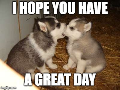 Cute Puppies Meme |  I HOPE YOU HAVE; A GREAT DAY | image tagged in memes,cute puppies | made w/ Imgflip meme maker