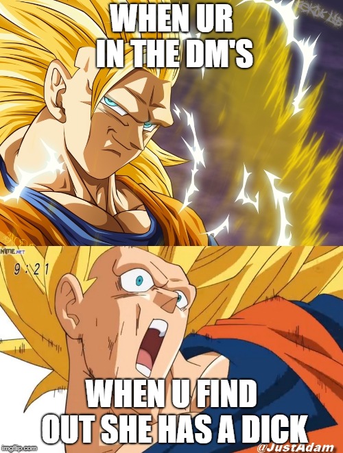 dragon ball super | WHEN UR IN THE DM'S; WHEN U FIND OUT SHE HAS A DICK | image tagged in dragon ball super | made w/ Imgflip meme maker