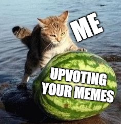 I will upvote your memes | ME; UPVOTING YOUR MEMES | image tagged in watermelon cat,memes | made w/ Imgflip meme maker