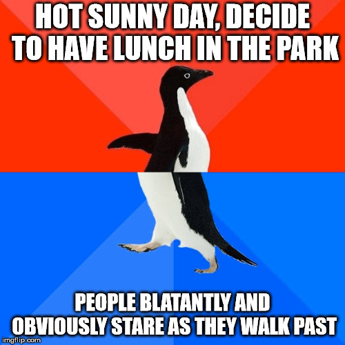 Socially Awesome Awkward Penguin | HOT SUNNY DAY, DECIDE TO HAVE LUNCH IN THE PARK; PEOPLE BLATANTLY AND OBVIOUSLY STARE AS THEY WALK PAST | image tagged in memes,socially awesome awkward penguin,AdviceAnimals | made w/ Imgflip meme maker